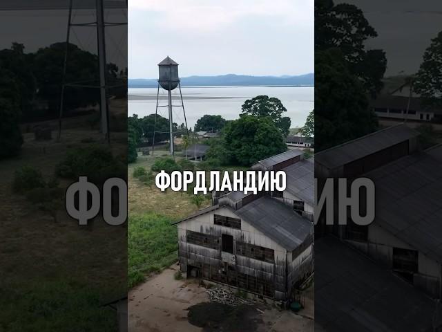 Что такое ФОРДЛЯНДИЯ? #форд #генрифорд #каучук #шины #авто #история #историяавтомобилей #бразилия