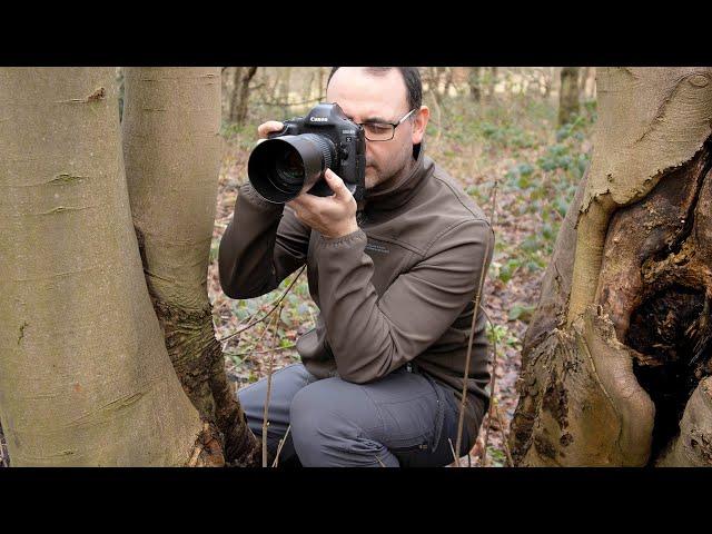 How to Photograph Woodlands -  Patterns, Textures and Reflections in Woodland Photography