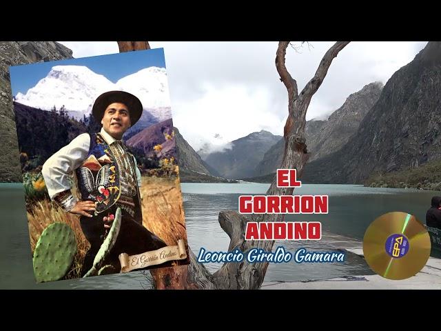 EL GORRION ANDINO/ TUNKU MACHE - Los Jilgueros del Hualcan  ( Video Oficial )