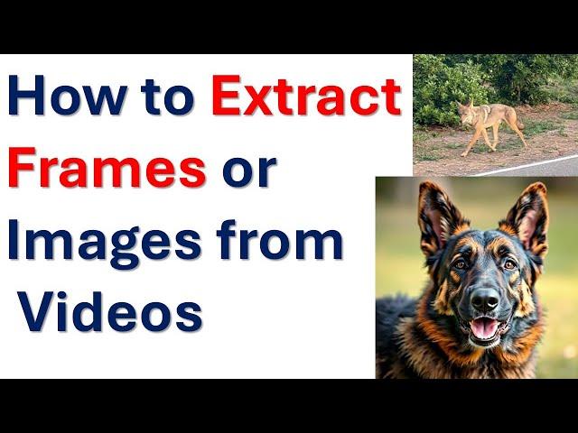 How to Extract Frames or Images from Videos - Using FFmpeg