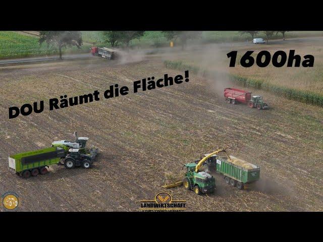 Das DOU Räumt die Fläche! 1600ha in 6 Wochen LU J&J Lohnauftrag Maishäckseln Silage für die Biogas