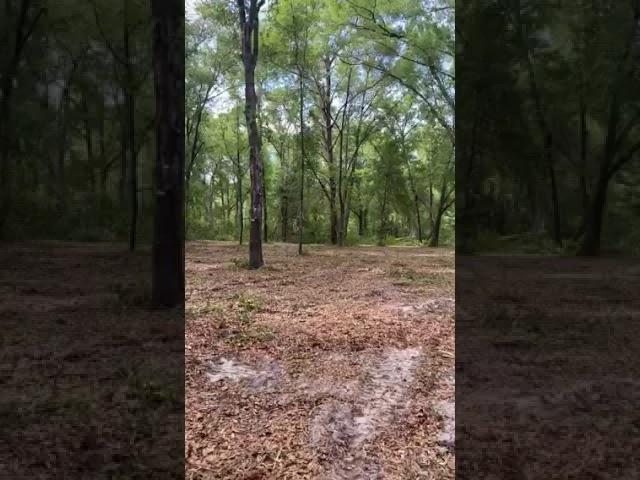 1.5 Acres in Putnam County Cleaned and Cleared (READY TO BUILD!)