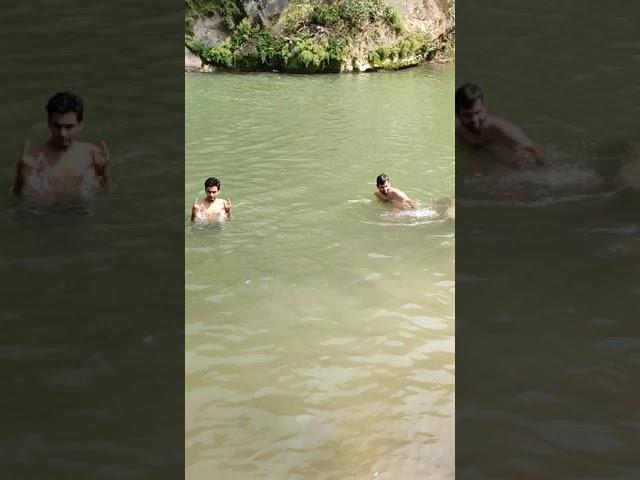 live crocodile attack my 2 brother plz help