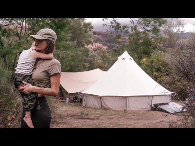 One year alone in the woods ️ Solo Mom leaves everything behind to recover an abandoned farm