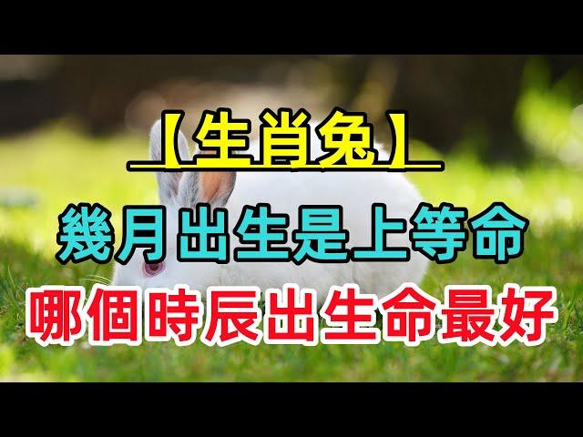 【生肖兔】屬兔人幾月出生最好？哪個時辰出生命最好？一生都是富貴命！