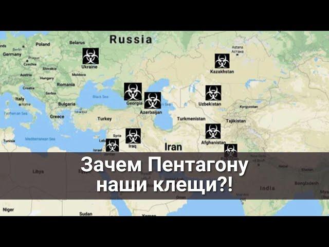 Зачем Пентагону наши клещи
