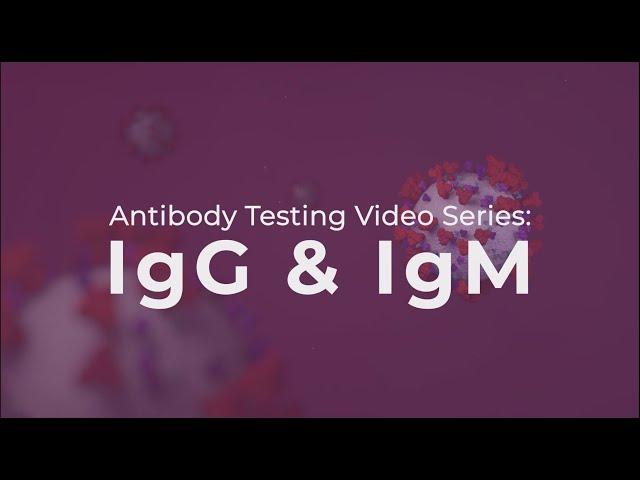 Antibody Testing: IgG and IgM explained