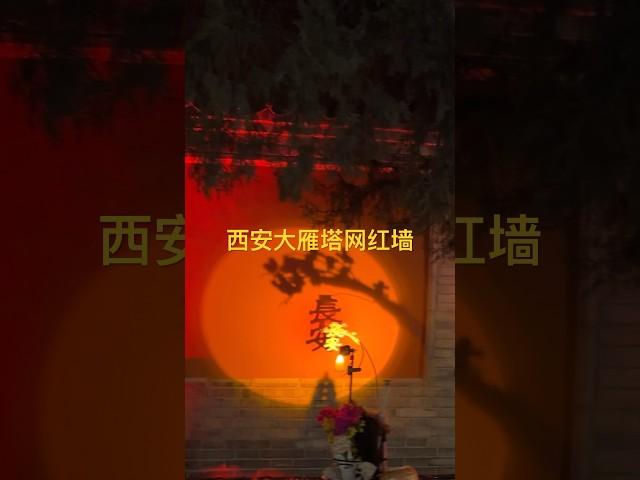 西安大雁塔网红墙是来西安拍照的小姐姐必打卡胜地 #旅行