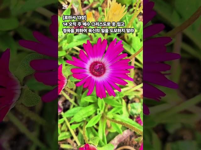 말씀찬양 로마서 13:14 주님의 마음
