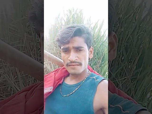 so phool khile Roop ke chehra # Hindi real video # sab likhane Hindi real video Bhojpuri #