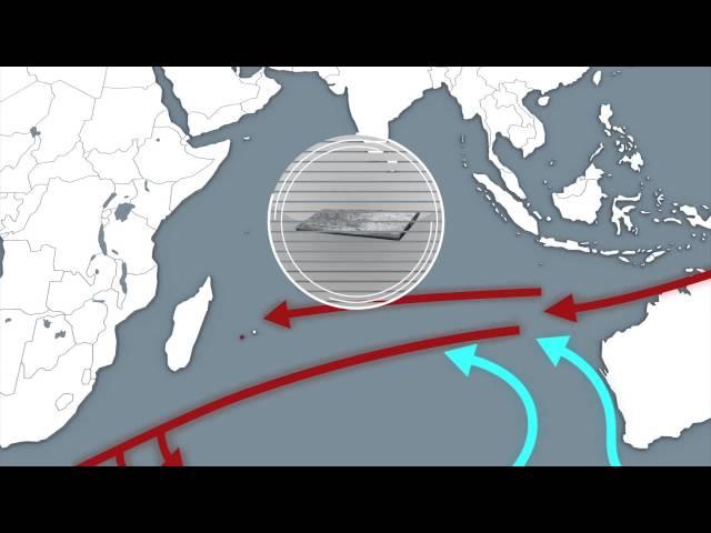 MH370: Debris found on Reunion Island may lead to the rest of the missing flight