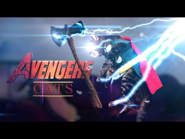 Avengers Cats