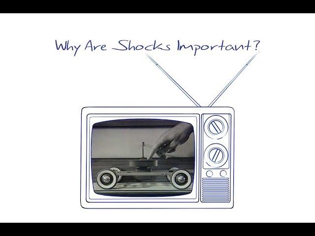 Why Shocks Matter