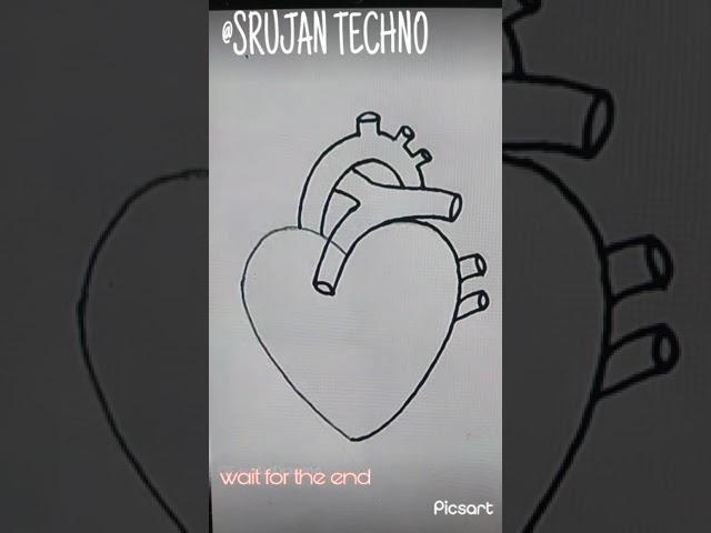 Method to draw a human heart diagram | based on biology |@Srujan Techno