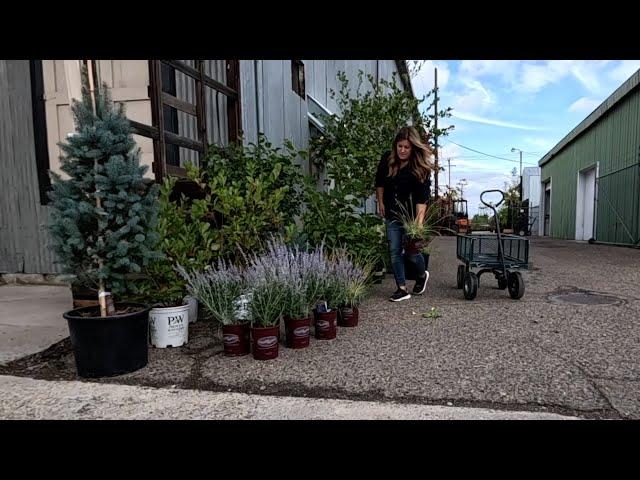 Plant Shopping for the Dream Stream!  // Garden Answer