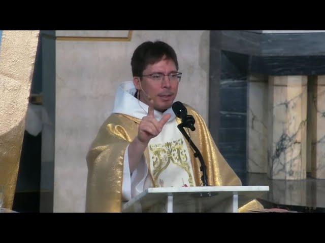 St. Faustina’s Divine Mercy Image reveals a PERMANENT REALITY - Fr. Mark Goring, CC
