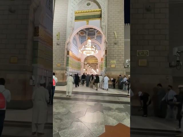 Har waqat tasawer man Madina ki Gali ho #owesrazaqadri #khwajajilifeline #khusrau #hafidh #ameen