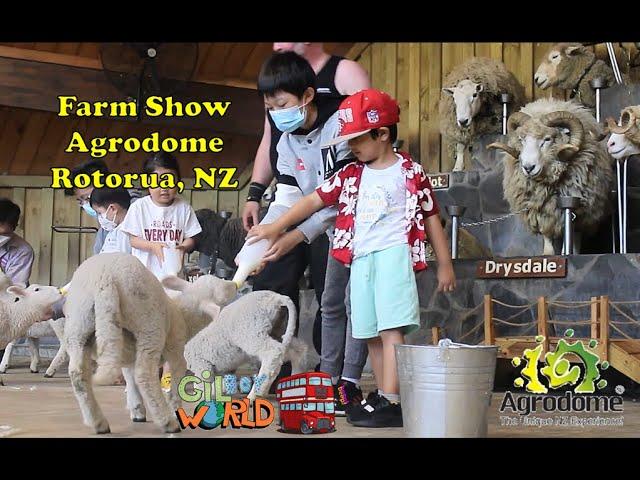 Farm Show Agrodome, Rotorua, New Zealand