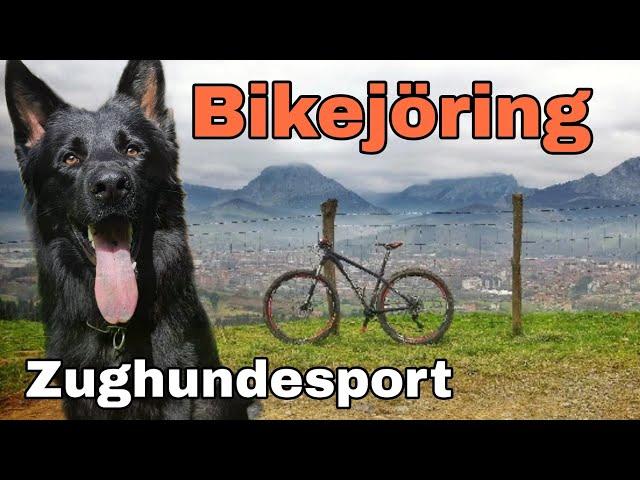 Zughundesport, Bikejöring mit kurzer Anleitung für Beginner