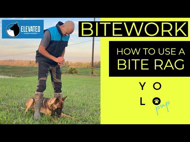 HOW TO USE PUPPY BITE RAG | BITEWORK BASICS