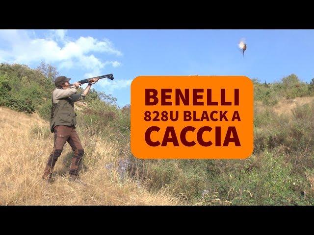 A caccia con il sovrapposto Benelli 828U Black