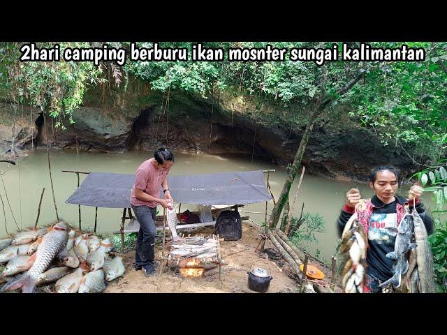 2hari camping berburu ikan monster sungai kalimantan