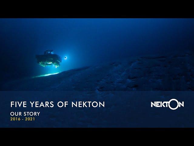 Five Years of Nekton