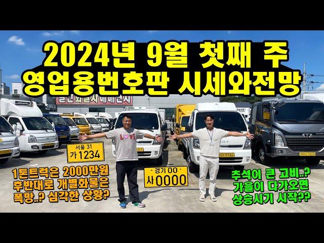 2024년 9월 첫째 주 영업용번호판 시세와 전망 "1톤트럭 개별화물 폭망..? 추석 지나면 상승?!"