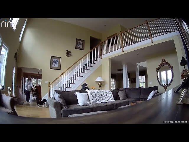 Earthquake captured on home cameras the moment it shakes N.J.