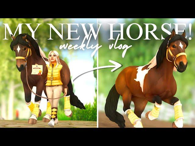 Week With My NEW Horse!  Training, Lunging and More! II SSO RRP