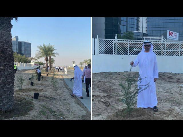 Goumbook x DP World | Ghaf Tree Planting Activity | Trees Matter | Dubai | 2023 12 06