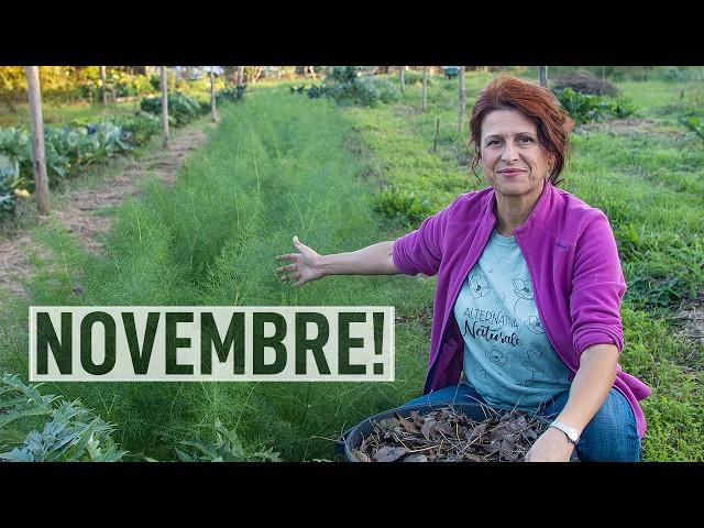 NOVEMBRE nell'orto: lavori e raccolti