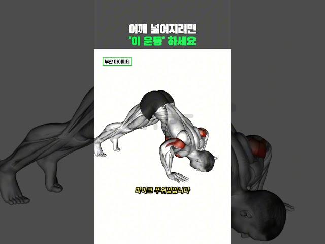 집에서 할 수 있는 어깨넓어지는 운동