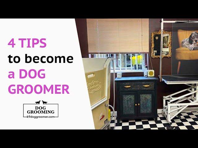 4 Tips to Become a Dog Groomer