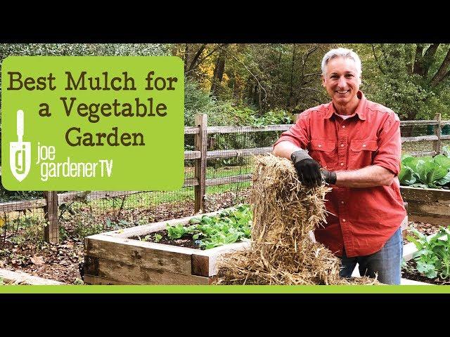 Best Mulch for a Vegetable Garden