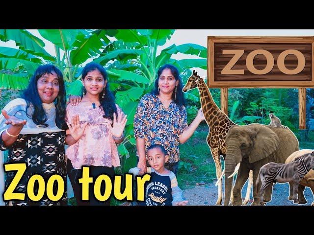 We are going to zoo tour | comedy video | funny video | Prabhu sarala lifestyle