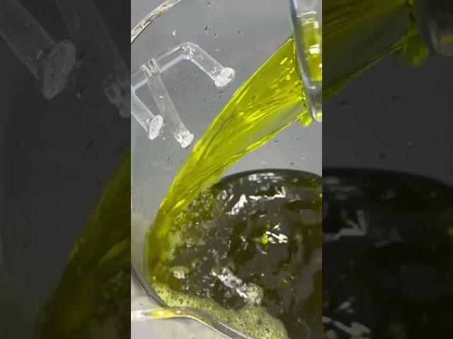 黃金煉金術：沉浸式體驗