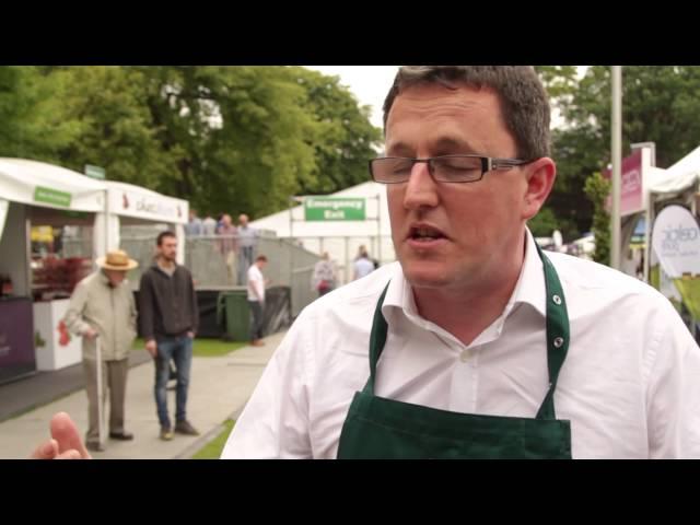 Bank of Ireland Taste of Enterprise at Taste of Dublin