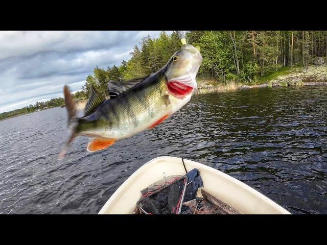 AHVEN KOVALLA PURULLA | KATISKAN NOSTO | PIEN-SAIMAA