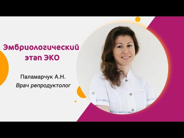 Эмбриологический этап программы ЭКО: что нужно знать?