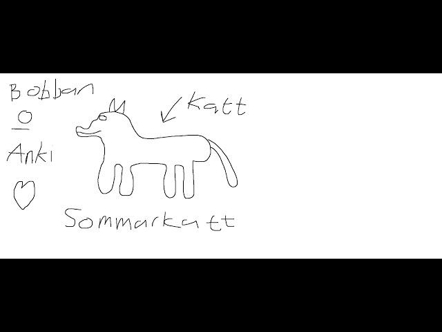 Twin feat snowstorm - Sommarnatt (Sommarakatt)