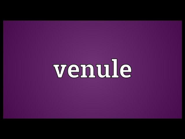 Venule Meaning