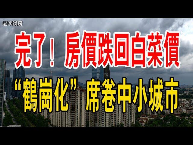 樓市大變天！房價跌回白菜價！白送無人要！「鶴崗化」正在席捲著中國中小城市。#白菜價#鶴崗化#中小城市#東北#經濟#人口#中國樓市