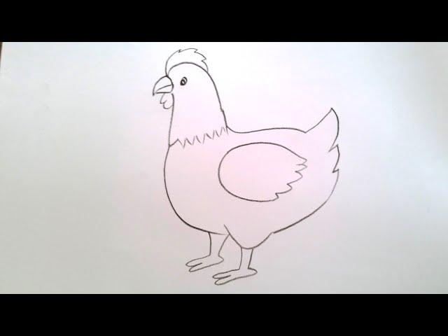 how to draw hen drawing easy step by step@Aarav Drawing Creative