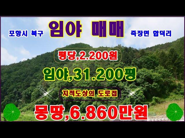 물번,358번) 임야매매.31.200평  지적도상의 도로접, 평당,2.200원 매매가,6.860만원, 농림지역,생산관리지역,임업용산지,보전산지,준보전산지,2.340평 포함 싼 임야