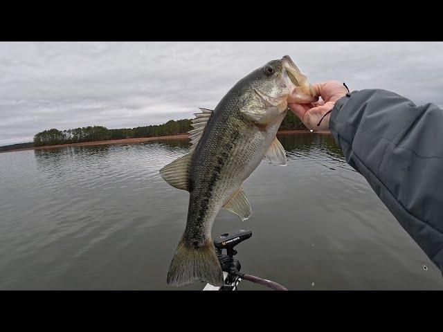 February Bass Fishing in Alabama- Wedowee