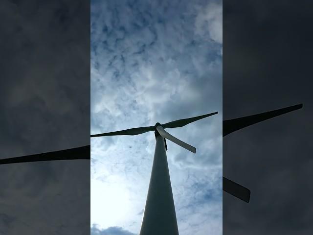 Windrad ️ Wind und Watt ? #windrad #wind #watt #shortvideo #shorts #zeitraffer