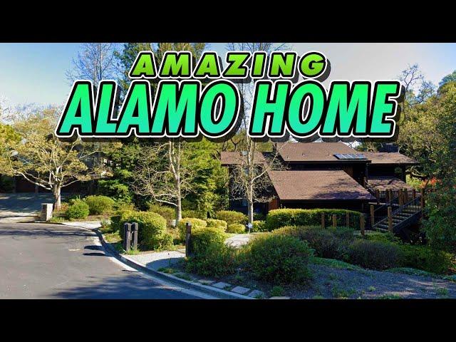 Amazing Alamo Home | Coming SOON!