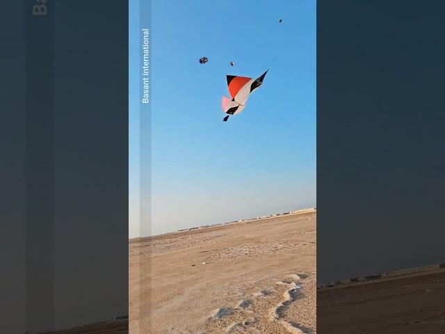 kite flying passion | Patang Bazi | Basant international