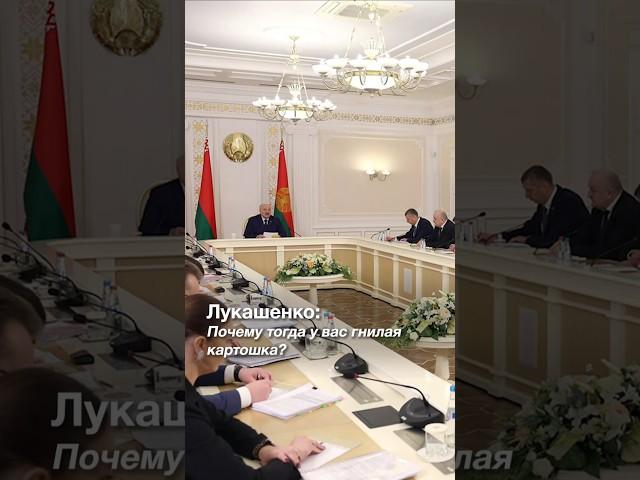 ️Лукашенко про картошку: Хранится плохо?! Так я вас ПРЕДУПРЕЖДАЛ, как надо хранить!